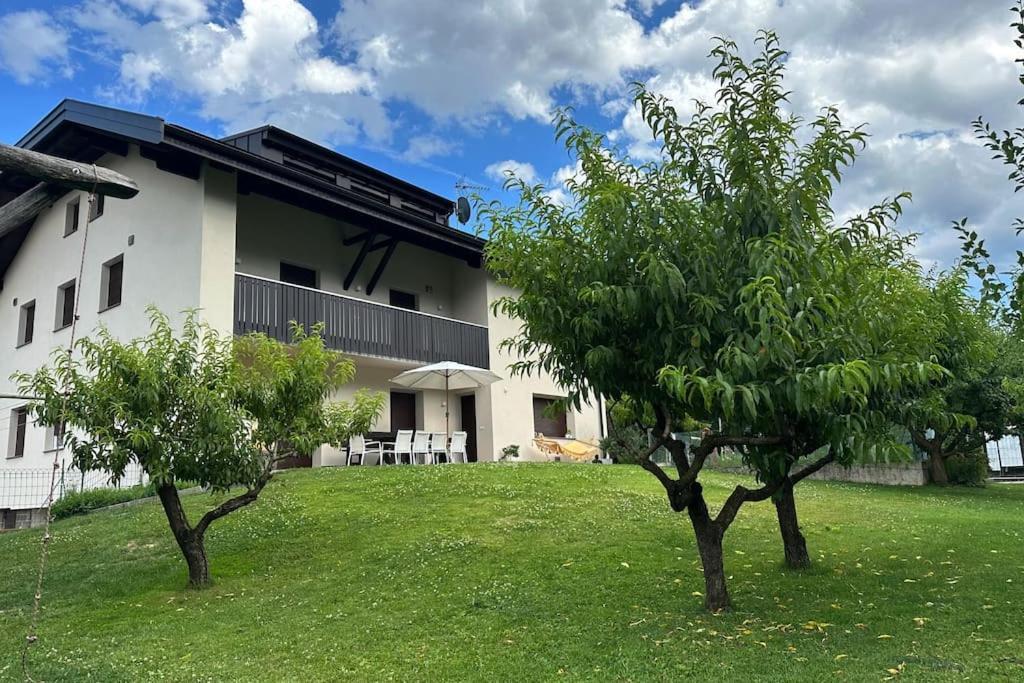 Haus Hafner Sonniges Apartment Terlano Esterno foto